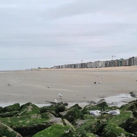 In St Idesbald Near The Sea, Cleaning Included Apartment Saint-Idesbald