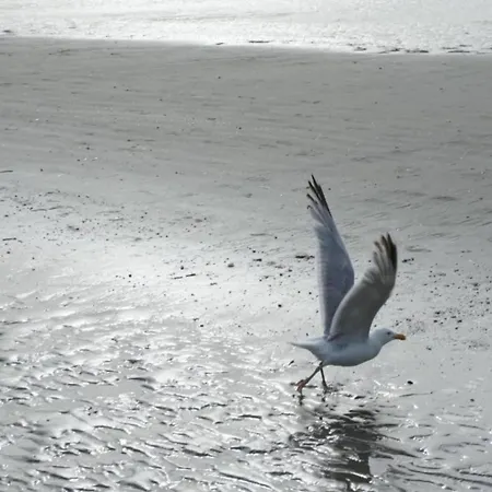 In St Idesbald Near The Sea, Cleaning Included * Saint-Idesbald