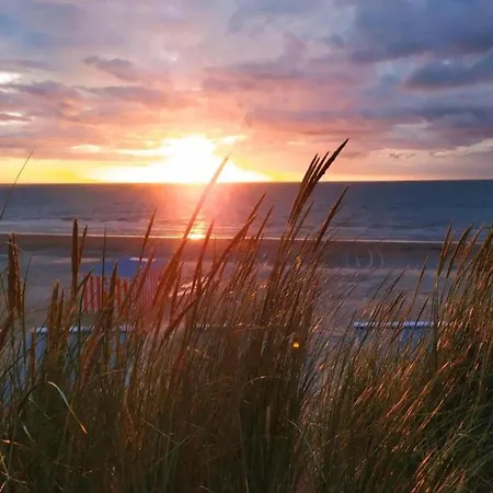 In St Idesbald Near The Sea, Cleaning Included Apartment Saint-Idesbald